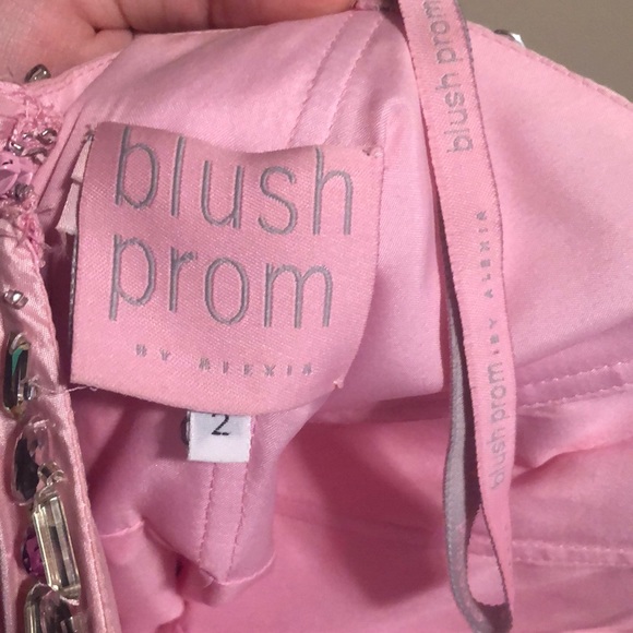 Size 2 Blush prom dress - Picture 3 of 4
